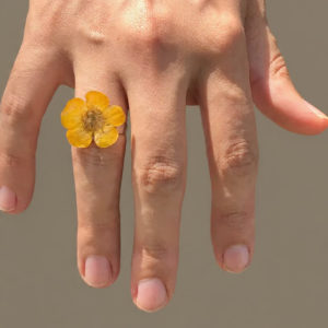 Anillo Botón de Oro
