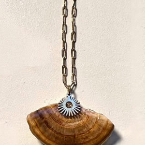 Collar fungo do lume